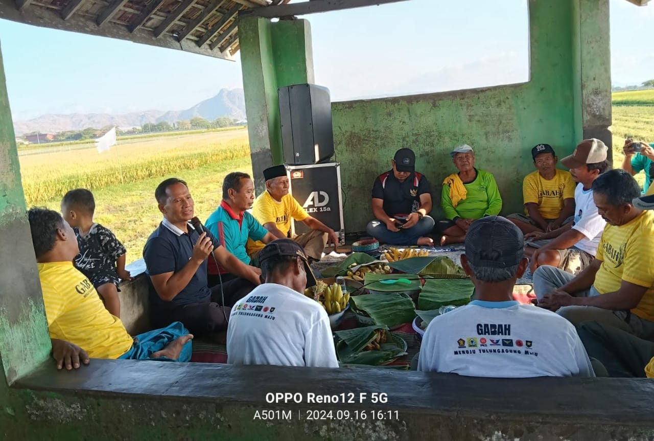 IMG 20240916 WA0029 1