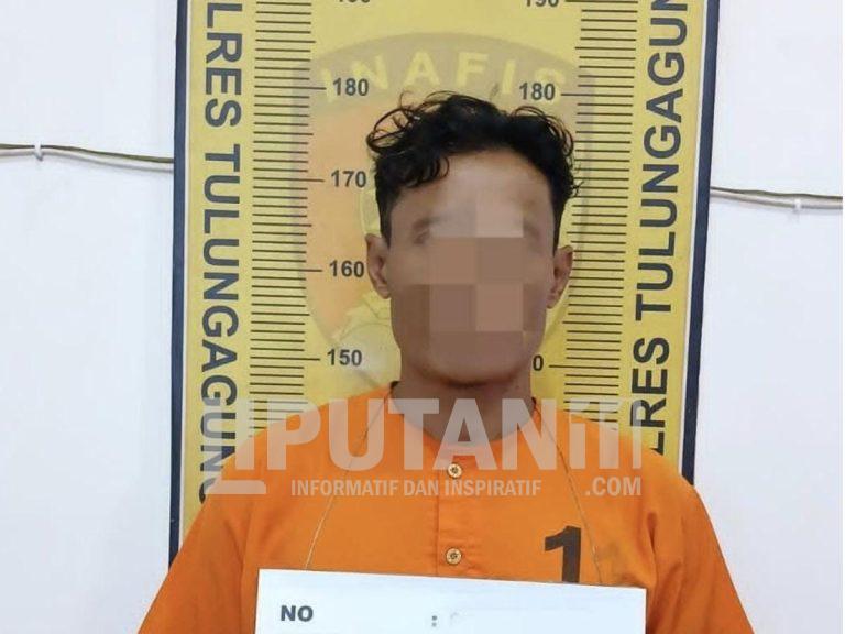 Lakukan Penganiayaan Berat, Seorang Lelaki Asal Rejotangan Diamankan Satreskrim Polres Tulungagung 1000339764