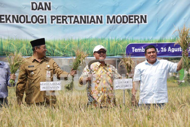 Kolaborasi Dinas Pertanian dan AFCO Group: Petani Hemat Biaya dengan Teknologi Mikroba Cair Organik (MCO) IMG 20250826 WA0056