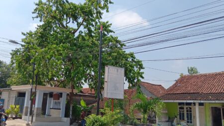 IMG 20250925 WA0011