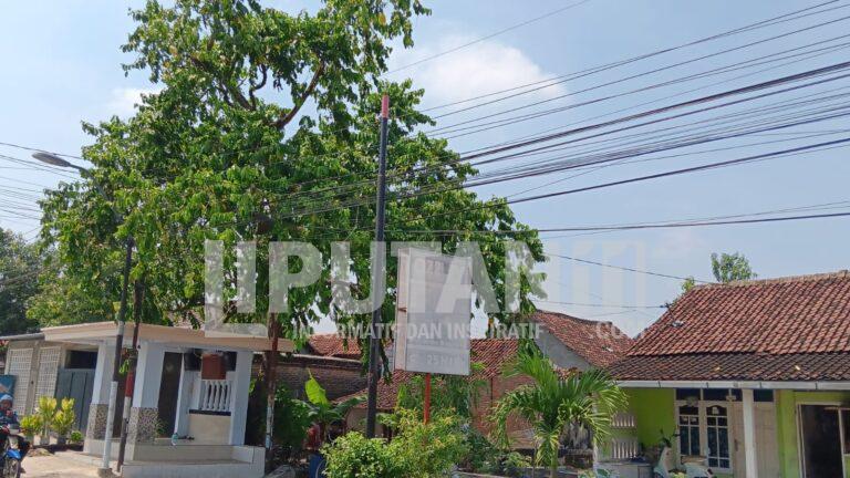 PT. Mega Akses Persada Diduga Pasang Tiang Fiber Ilegal di Jombang, Abaikan Aturan dan Peringatan IMG 20250925 WA0011