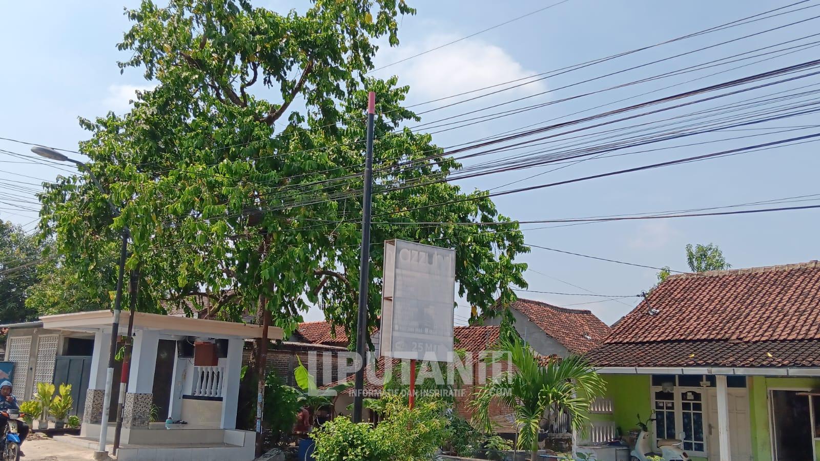 Transparansi Dipertaruhkan: Polemik Tiang Fiber di Sentul Jombang. 1 IMG 20250925 WA0011
