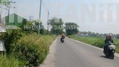 Dishub Jombang Tambah Lima Paket PJU Lewat Program Pokir DPRD, Anggaran Capai Rp 1 Miliar IMG 20251015 WA0001