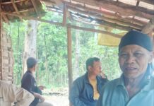 “Perhutani Jombang Bangun Kolaborasi Penguatan Pesanggem di RPH Lebak Jabung”