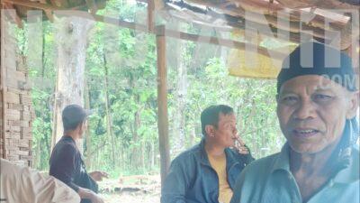 IMG 20251204 WA0004