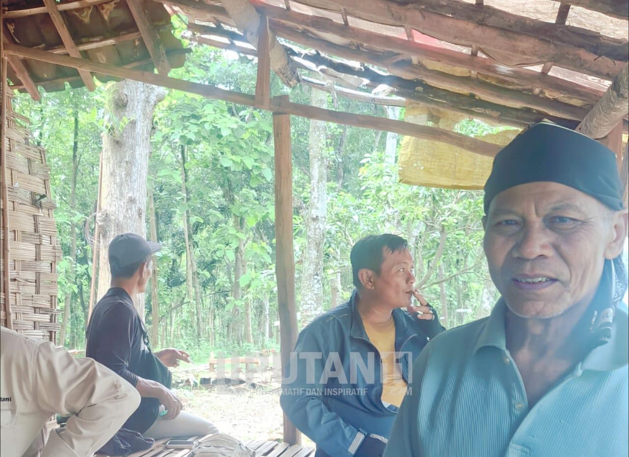 “Perhutani Jombang Bangun Kolaborasi Penguatan Pesanggem di RPH Lebak Jabung” 1 IMG 20251204 WA0004