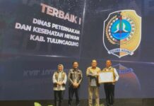 Disnakkeswan Tulungagung Raih Dua Penghargaan Tingkat Provinsi atas Keberhasilan Pengendalian PMK