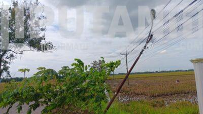Dishub Jombang Apresiasi Laporan Warga, PJU Ngusikan Masuk Prioritas Perbaikan IMG 20251210 WA0003