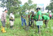 Perhutani KPH Jombang dan TNI Gelar Penanaman 4.000 Bibit Jati, Perkuat Komitmen Pelestarian Hutan Negeri