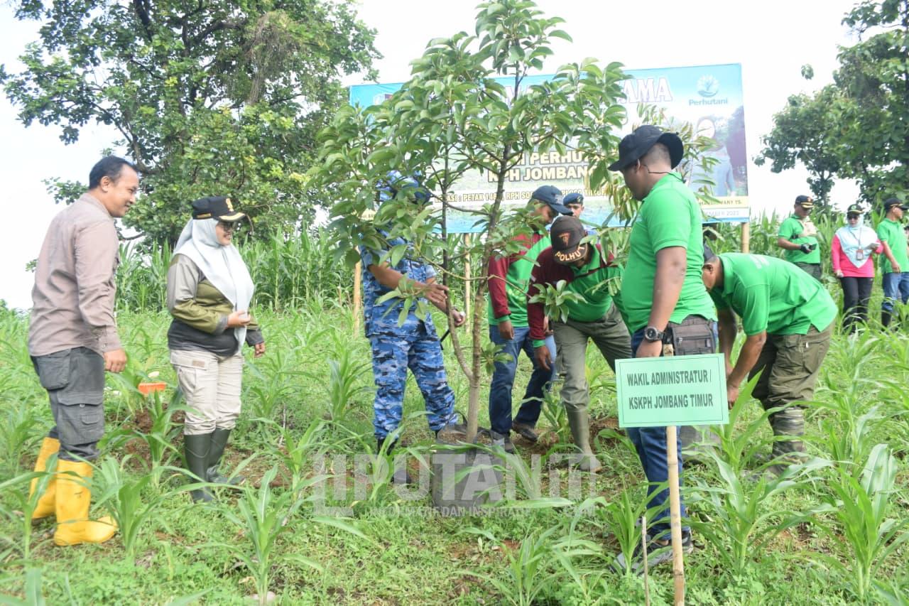 Perhutani KPH Jombang dan TNI Gelar Penanaman 4.000 Bibit Jati, Perkuat Komitmen Pelestarian Hutan Negeri 1 IMG 20251211 WA0000