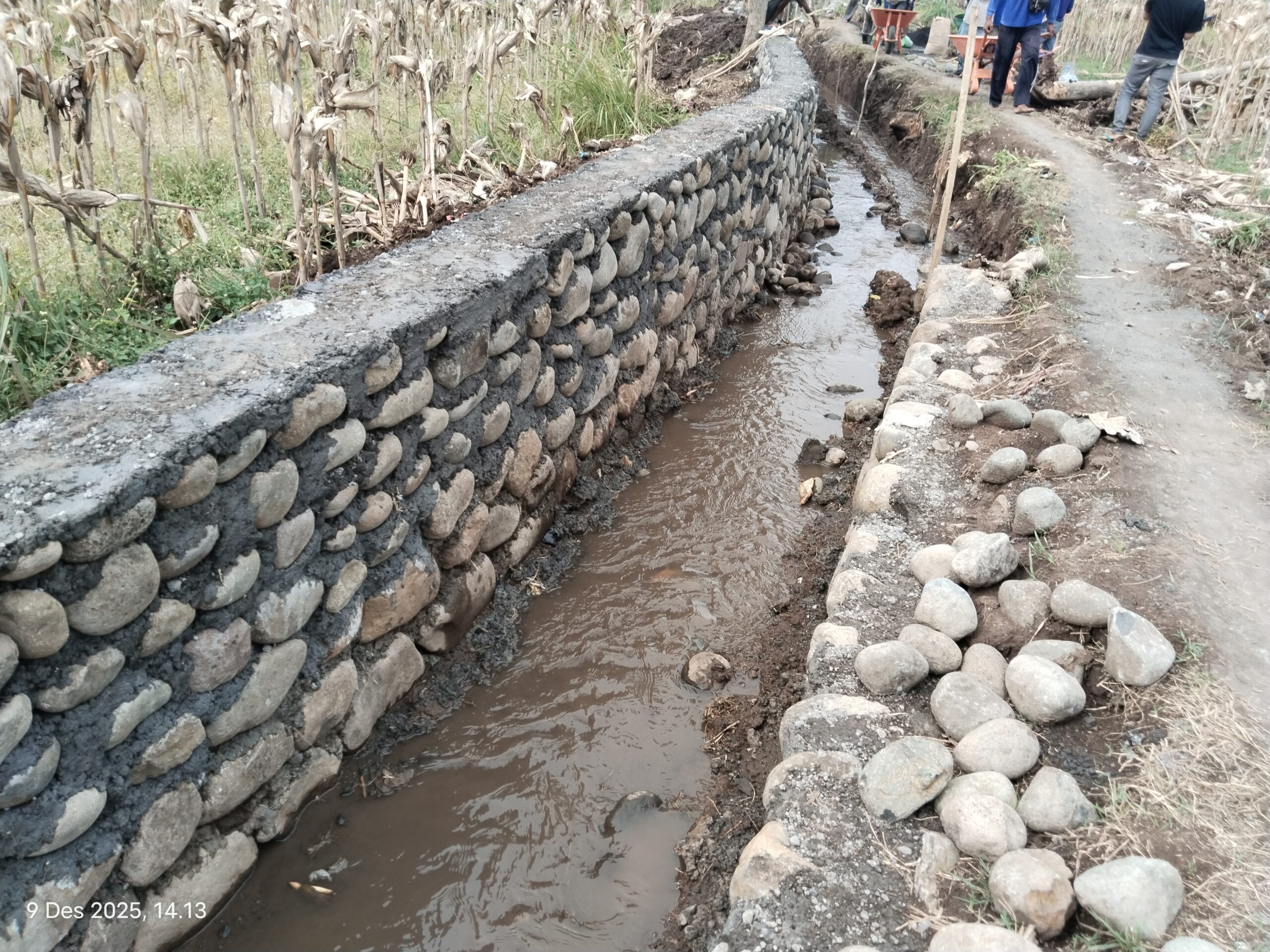 IMG 20251209 141354 scaled