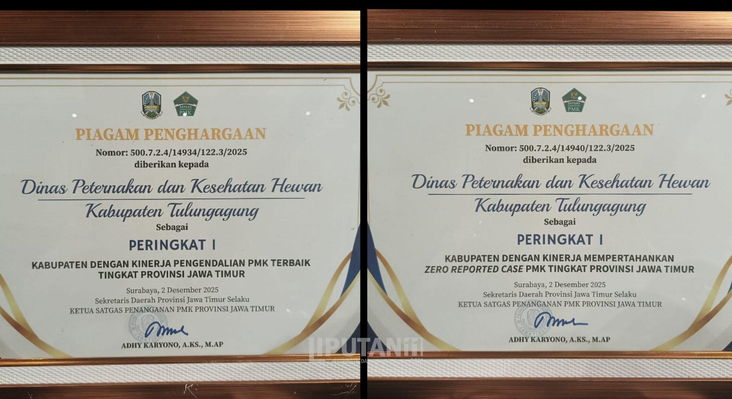 InCollage 20251204 172028841 scaled