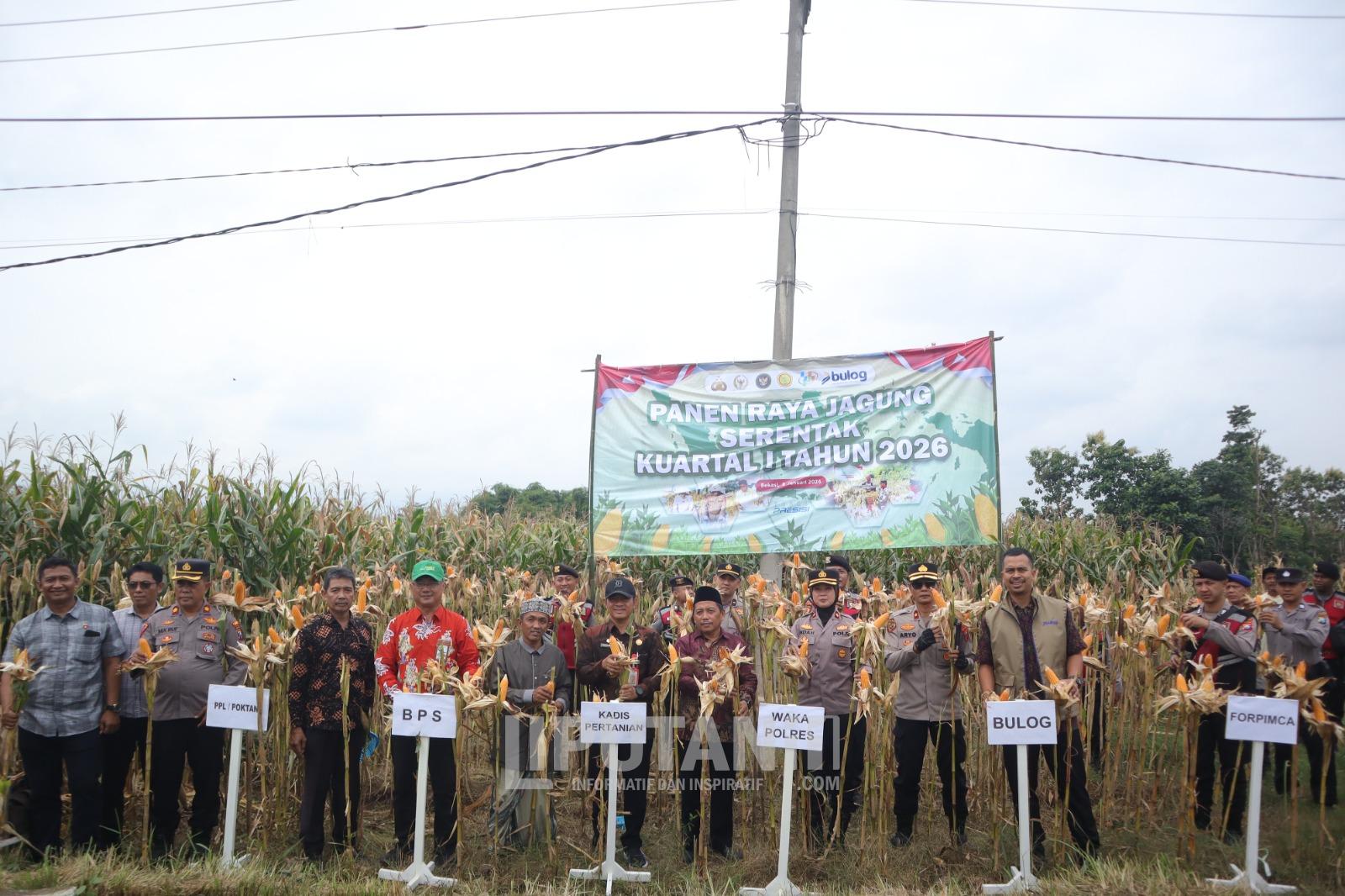 Mendukung Program Ketahanan Pangan Nasional, Polres Situbondo Jawa Timur Bersama Distan dan Ponpes Nurul Wafa Panen Jagung Serentak 1 IMG 20260108 WA0022