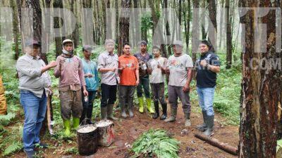 Perhutani KPH Bondowoso Cek Kesiapan Produksi,Dan Pastikan Target Tercapai IMG 20260115 WA0050