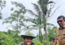 Perhutani KPH Bondowoso Tanam 2.000 Pohon Dan Jaga Kelestarian DAS IMG 20260122 WA0194