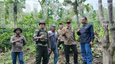 Perhutani KPH Bondowoso Klarifikasi,Pemanfaatan Kawasan Hutan Legal Dan Berkelanjutan IMG 20260129 WA0092