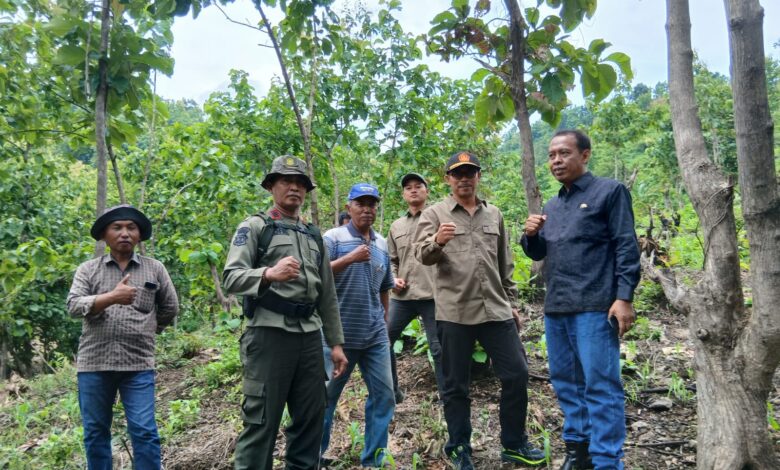 Perhutani KPH Bondowoso Klarifikasi,Pemanfaatan Kawasan Hutan Legal Dan Berkelanjutan 1 IMG 20260129 WA0092