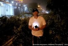 Tengah Malam Bupati Tulungagung Gatut Sunu Sidak Pohon Tumbang, Keselamatan Masyarakat Prioritas Utama 12 IMG 20260209 WA0136