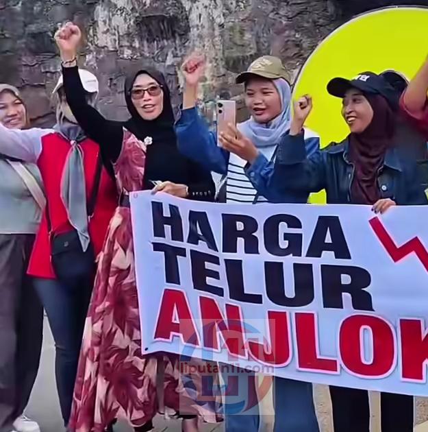 Turun Jalan, Peternak Rakyat Tulungagung Menjerit, Desak Kadin Bersikap dan Tolak Investor Asing Pengadaan Telur IMG 20260516 WA0188