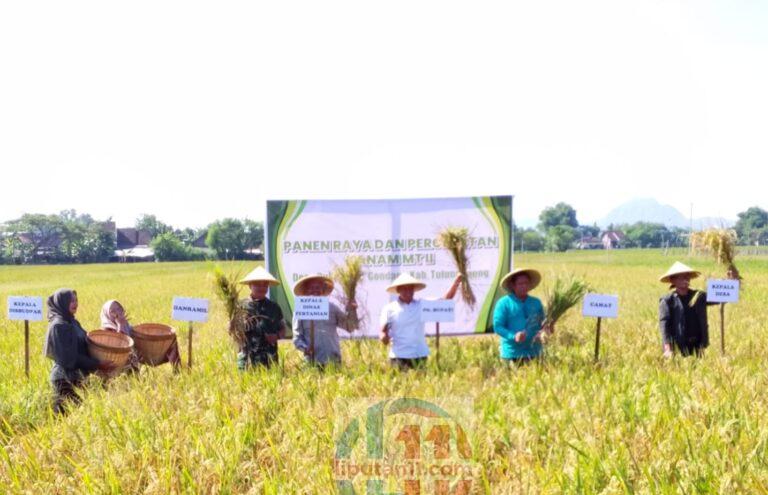 Hadiri Labuh Massal di Gondang, Plt Bupati Tulungagung Tegaskan Komitmen Jaga Ketahanan Pangan 20260602 171545