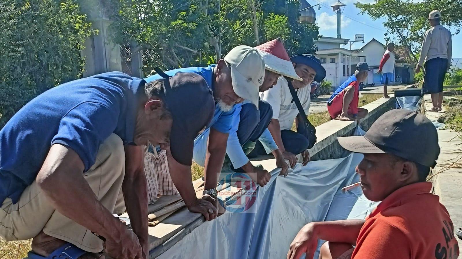 Petani bersama Bumdes Tanggulwelahan Tulungagung Pasang Plastik di Saluran Irigasi Minimalisir Kebocoran Air 1 IMG 20260725 WA0000