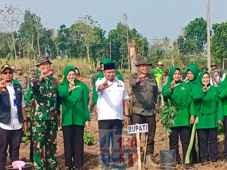 Perhutani Bondowoso Dukung Penanaman Bersama Kodim 0822, Perkuat Sinergi Pelestarian Hutan IMG 20260909 WA0370
